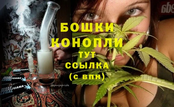 apvp Белокуриха